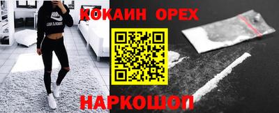 СК Кингисепп