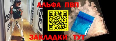 СК Кингисепп