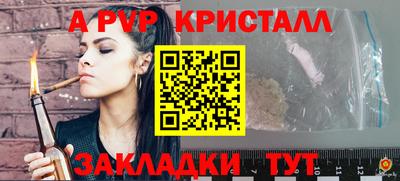 СК Кингисепп