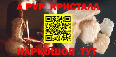 СК Кингисепп