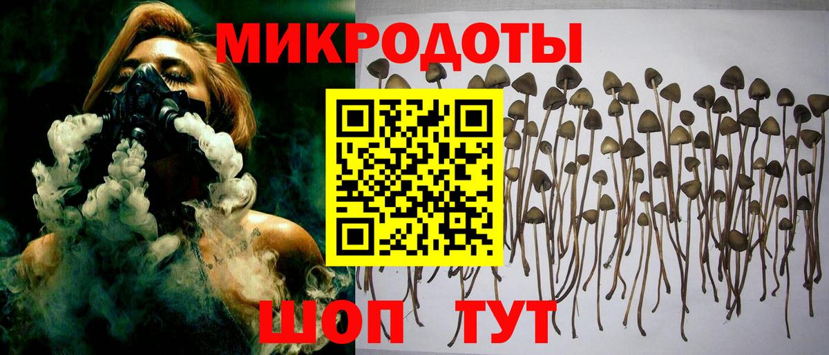 Чебаркуль  Псилоцибиновые грибы мицелий  Вход с VPN 